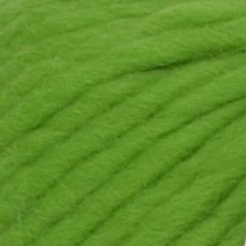 Crazy Sexy Wool - Wonderland Green