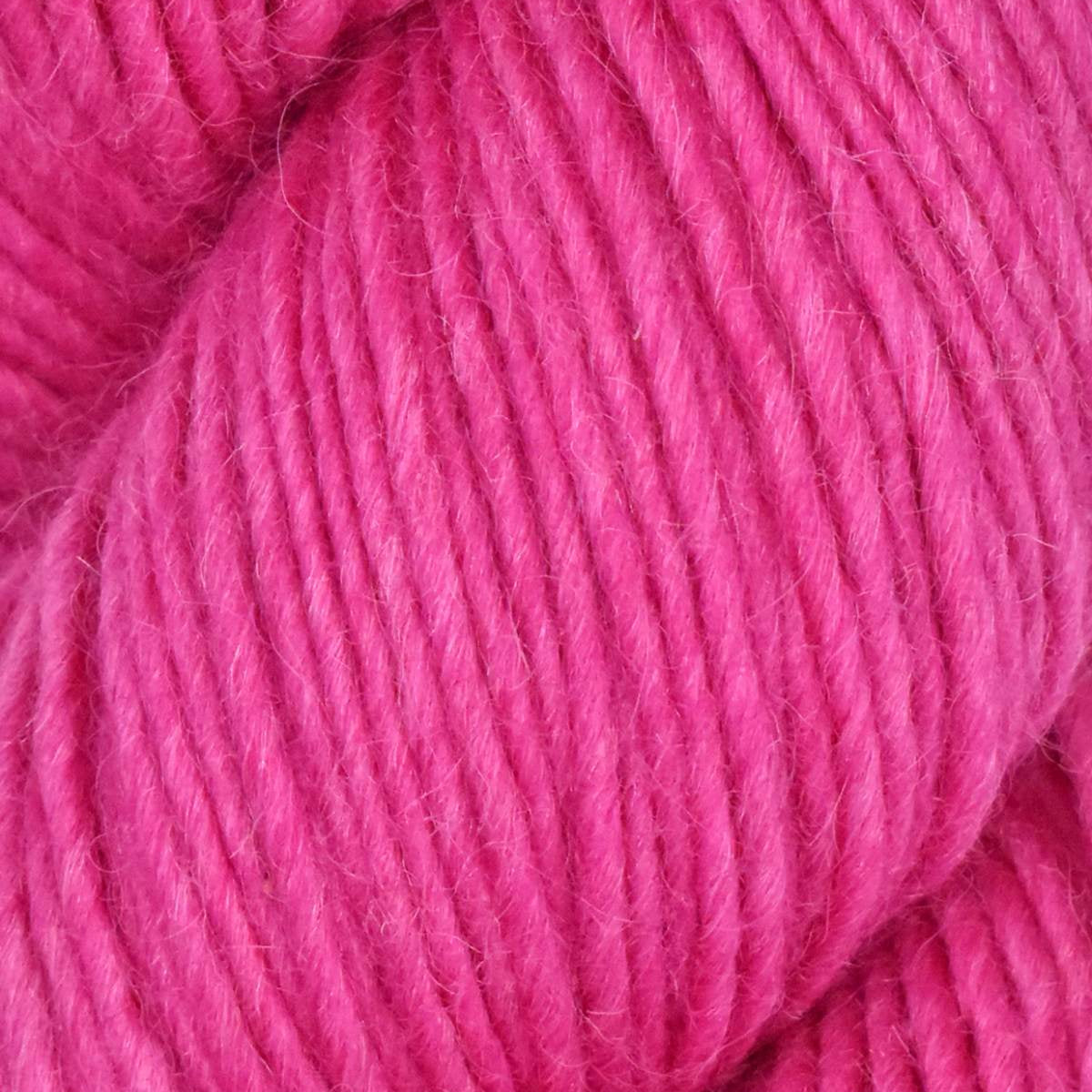 Moonshine - Enchanting Rose 99