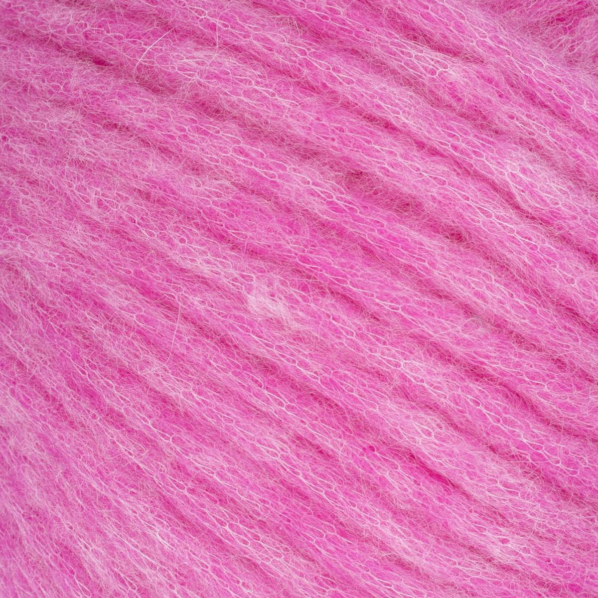 Beatrix - Dragonfruit 26