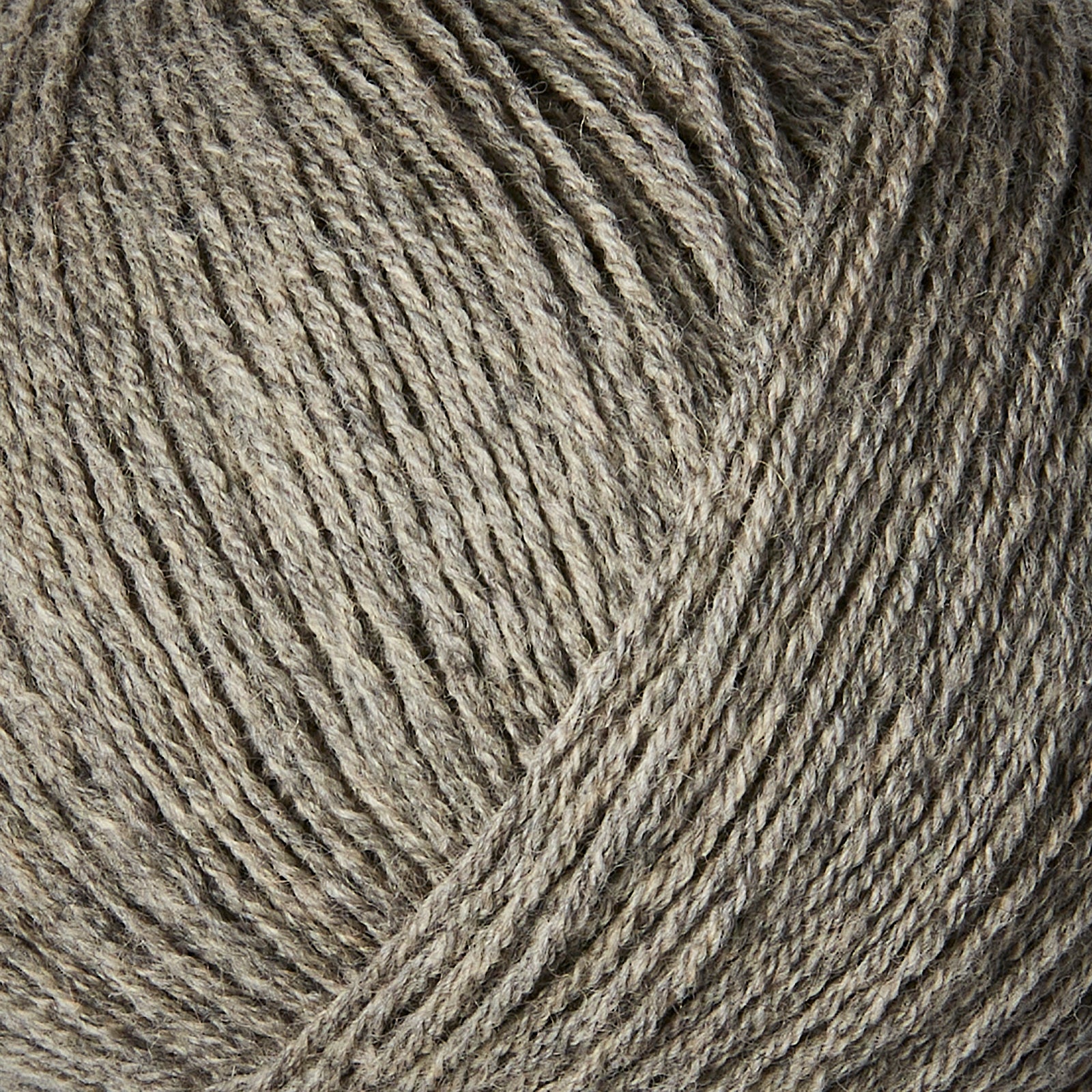 Merino - Dusty Moose