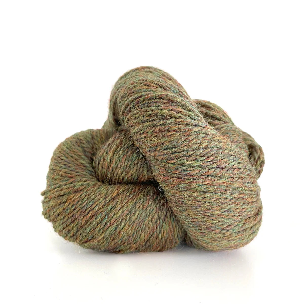 Scout - Autumn Heather