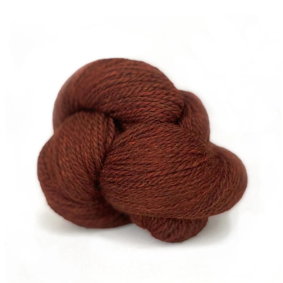 Scout - Cinnamon Heather