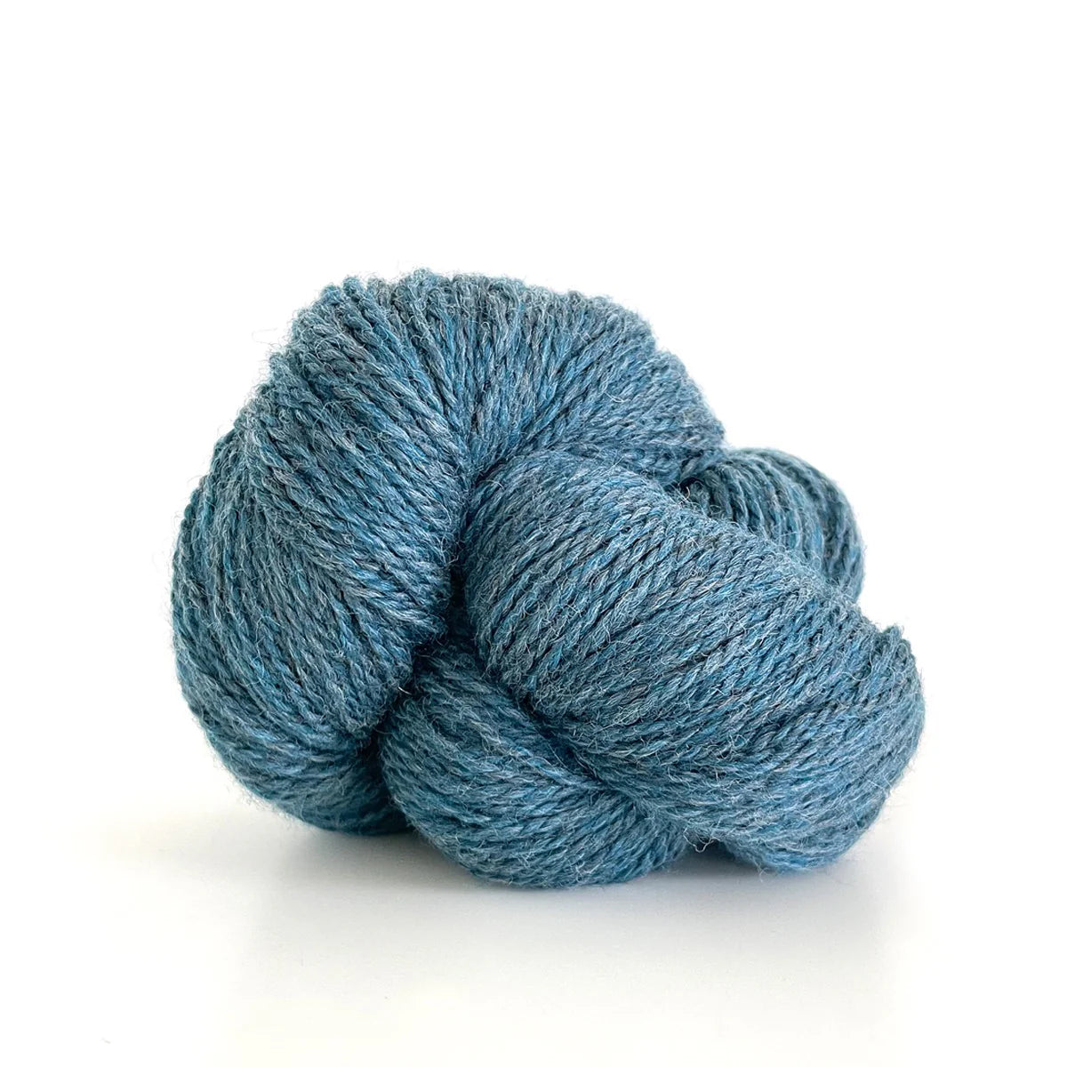 Scout - Ocean Heather