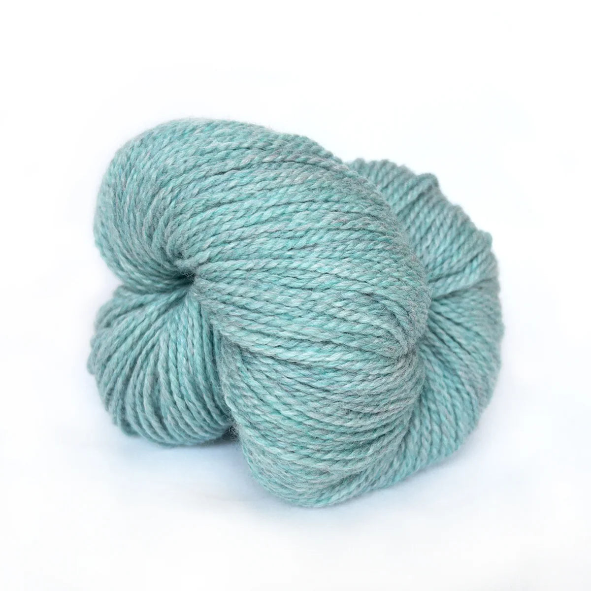 Scout - Sky Heather