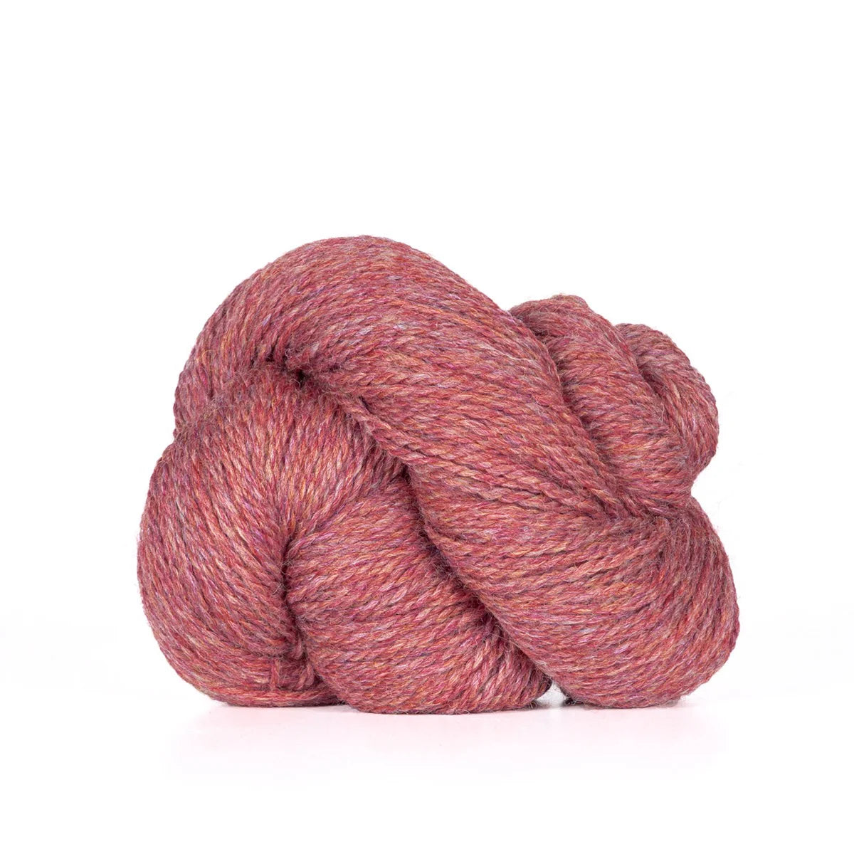 Scout - Strawberry Heather