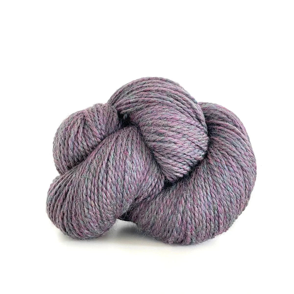 Scout - Wisteria Heather