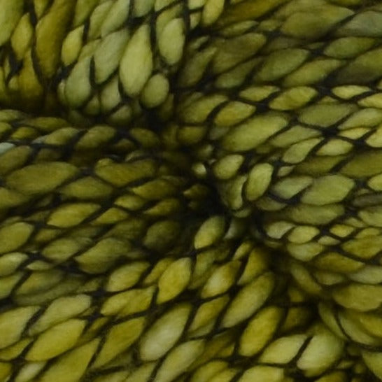 Caracol - Lettuce