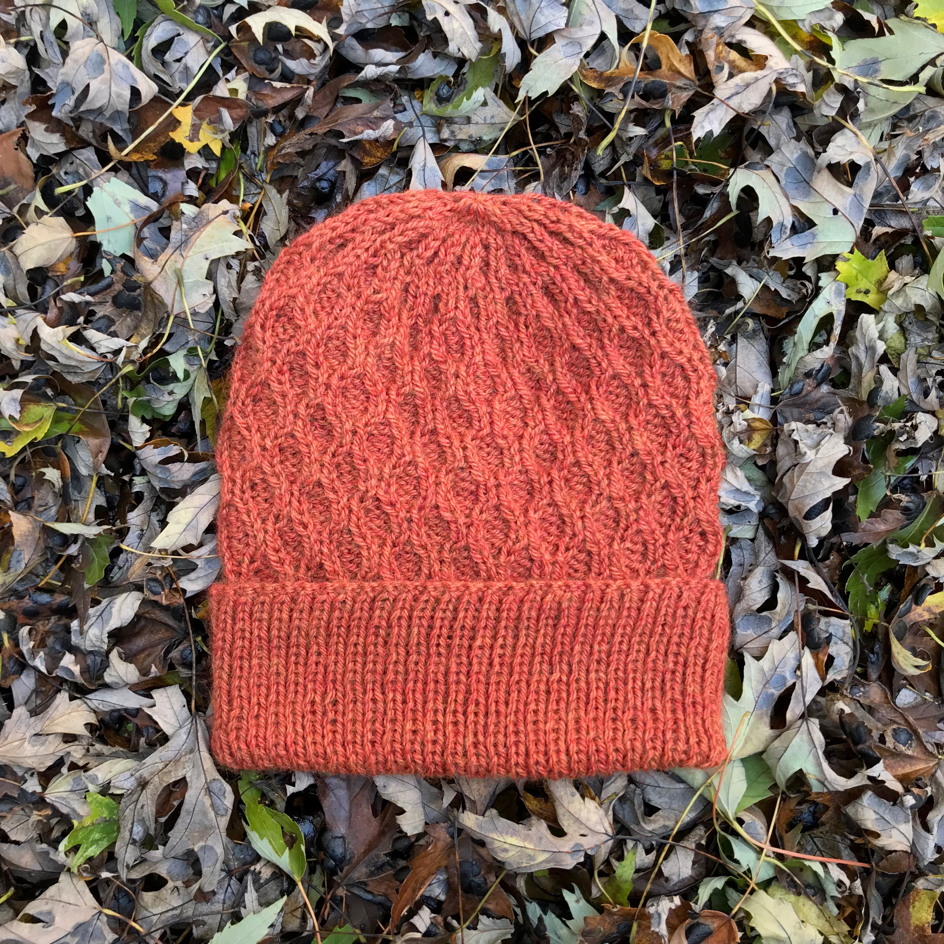 Busy Beenie Pattern